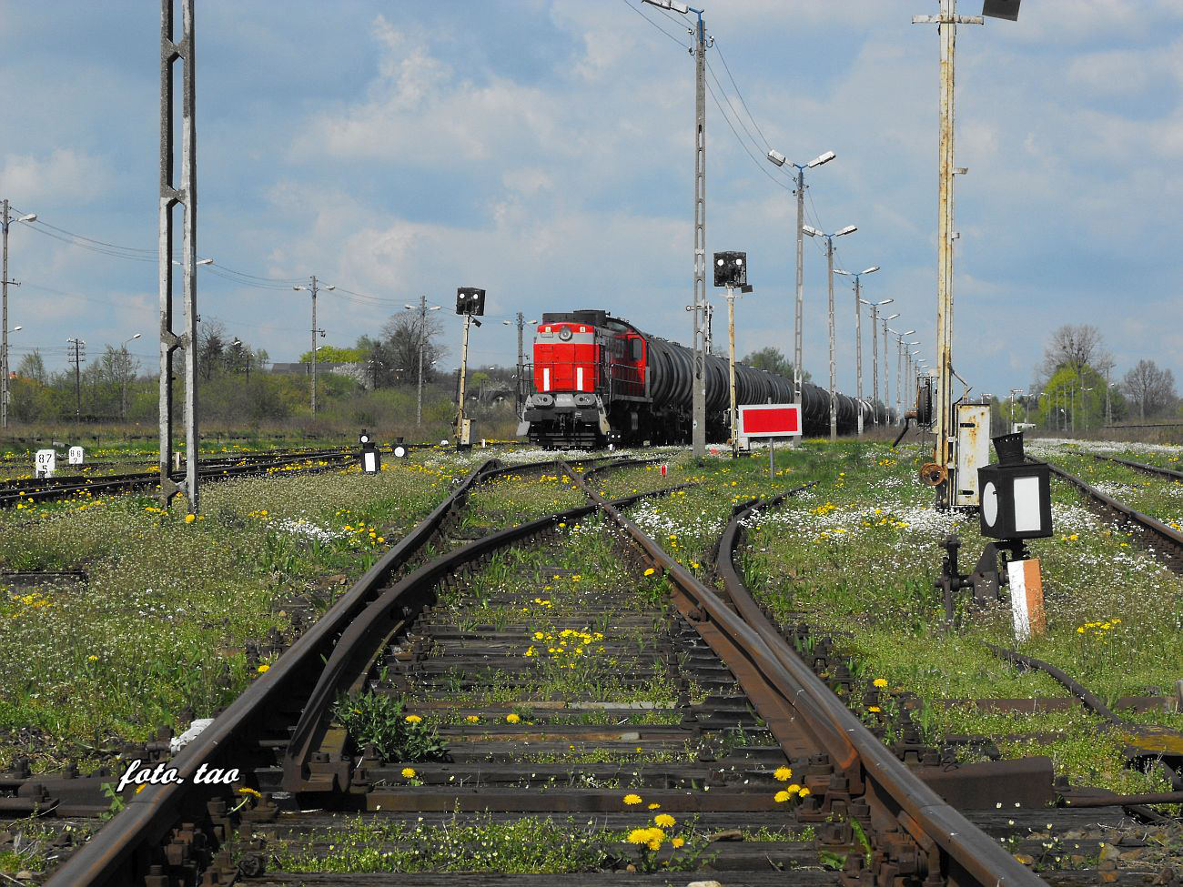 Stacja Sierpc. Skad towarowy KolTrans Orlen czeka za semaforem do Pocka, kwiecie 2015 r.