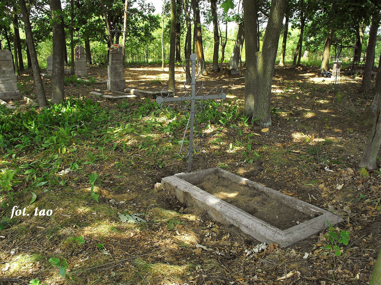 Cmentarz ewangelicki w Jzefowie(Czartowni)  k/Gjska, 25.06.2011 r.
