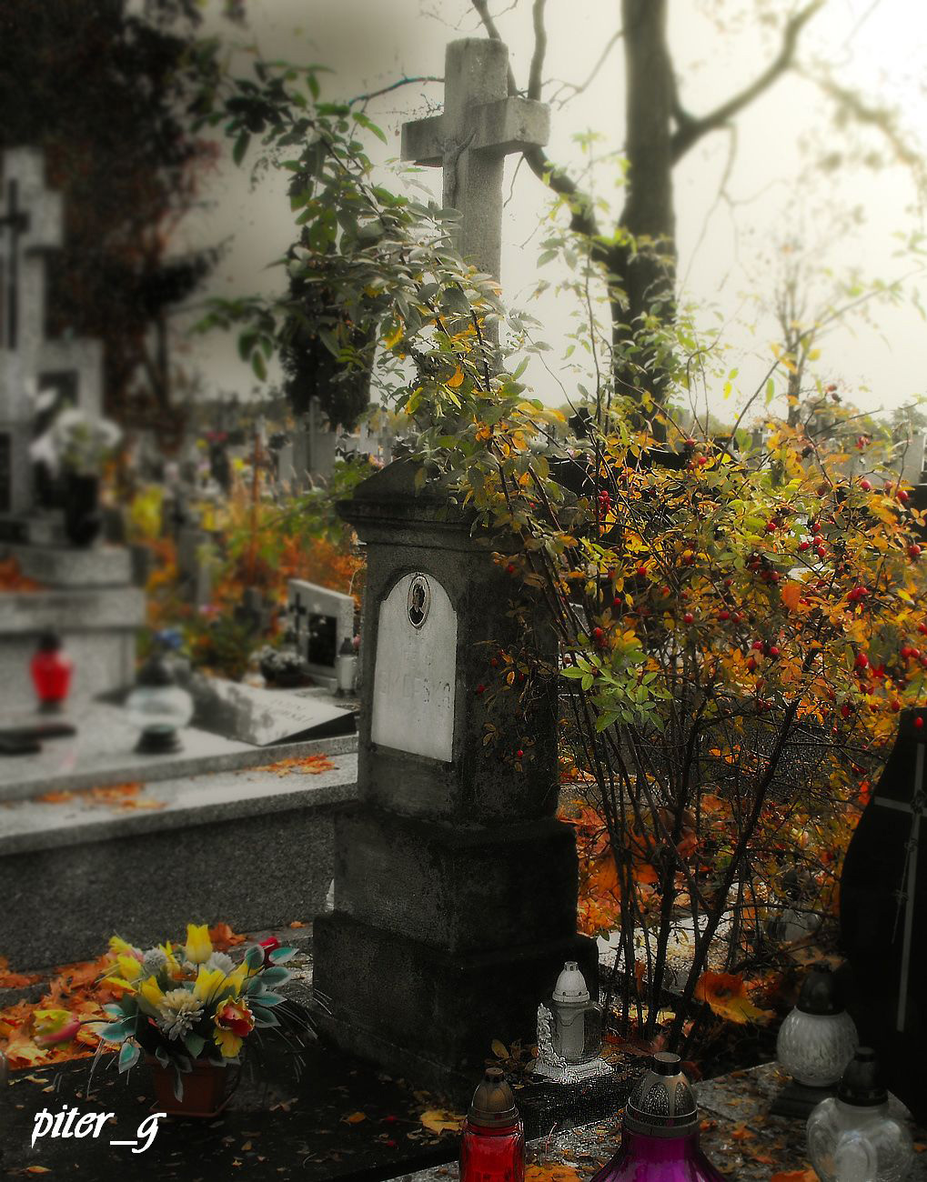 Fragment cmentarza w jesiennej odsonie, 19.10.2013 r.
