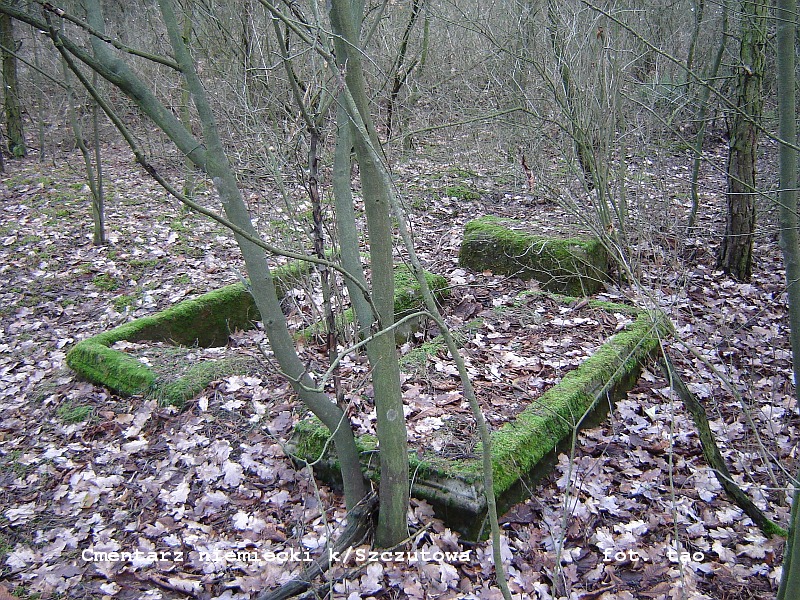 Cmentarz niemiecki w Biaasach k/Szczutowa - 21.01.2007 r.