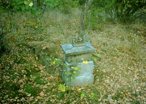 Cmentarz ewangelicki w Oswce k/Sierpca, 9.09.2005 r.