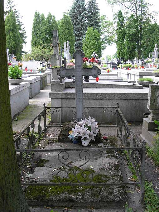 Jeden z poniemieckich grobw na sierpeckim cmentarzu - 1894 rok.<BR>Henrietta  Cieske, z domu Dimkoska.