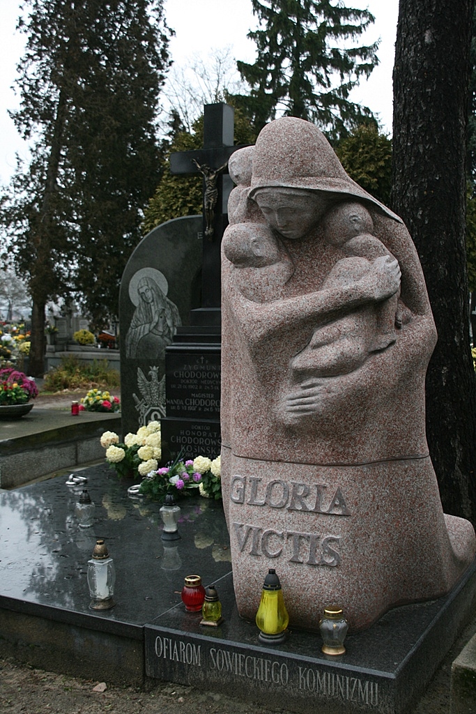 Grb rodziny Chodorowskich na cmentarzu parafialnym w Sierpcu, 11.11.2010 r.