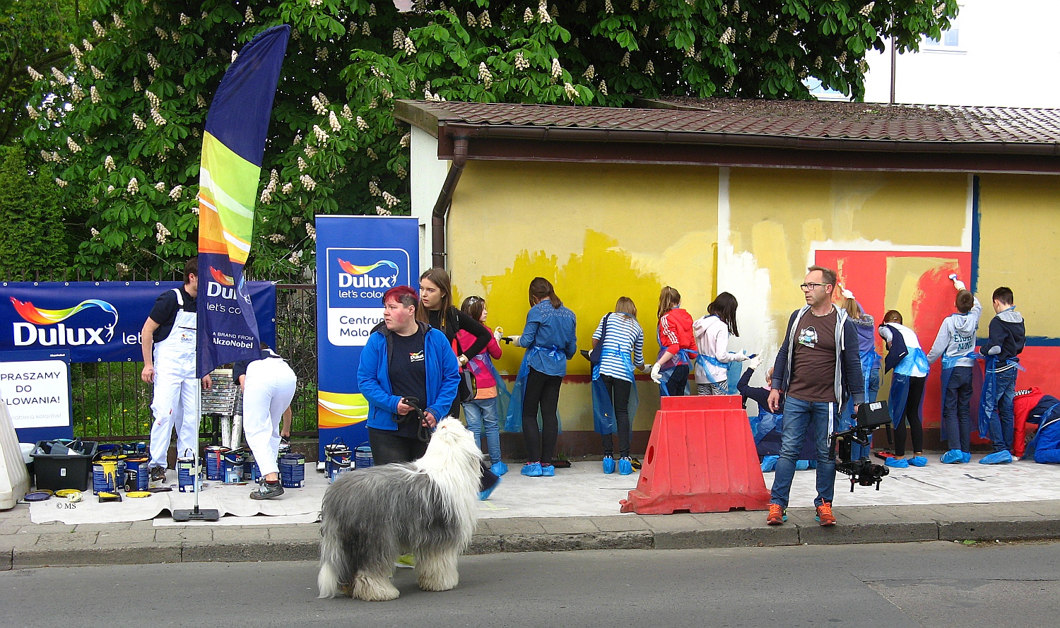 Wszystkie kolory tczy na murze przy ulicy Wiosny Ludw w Sierpcu, 15.05.2015 r.