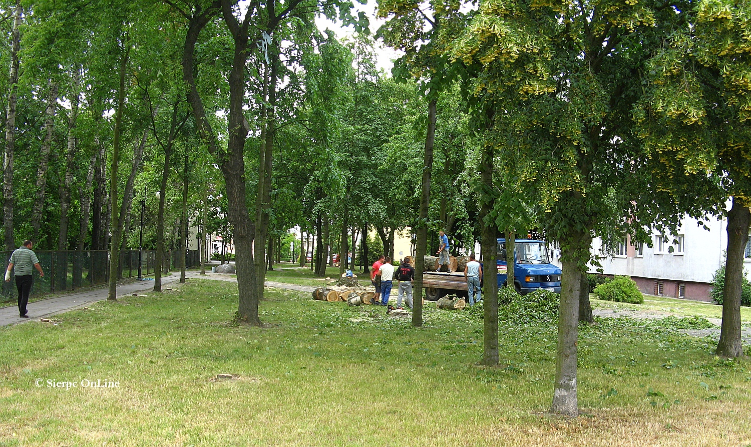 Wycinka drzew w maym parku pomidzy dworcem PKS a blokiem przy ulicy Jana Pawa II 10, 25.06.2015 r.