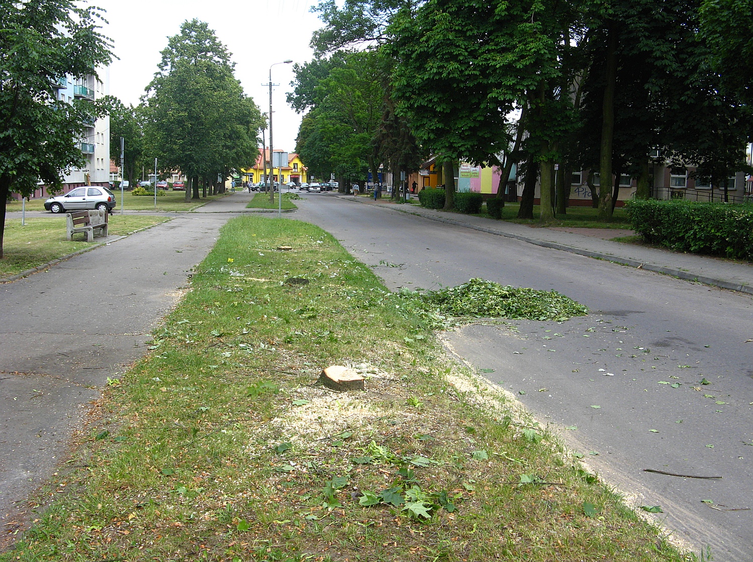 Ulica Jana Pawa II. W miejscu wycitych drzew, maj znale si inne, wpywajce na estetyk otoczenia, 25.06.2015 r.