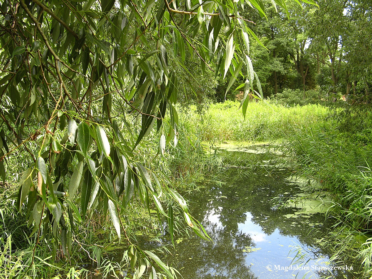 Na kadce koniecznie naley si zatrzyma i podziwia urocze rozlewisko rzeki i otaczajc je ziele