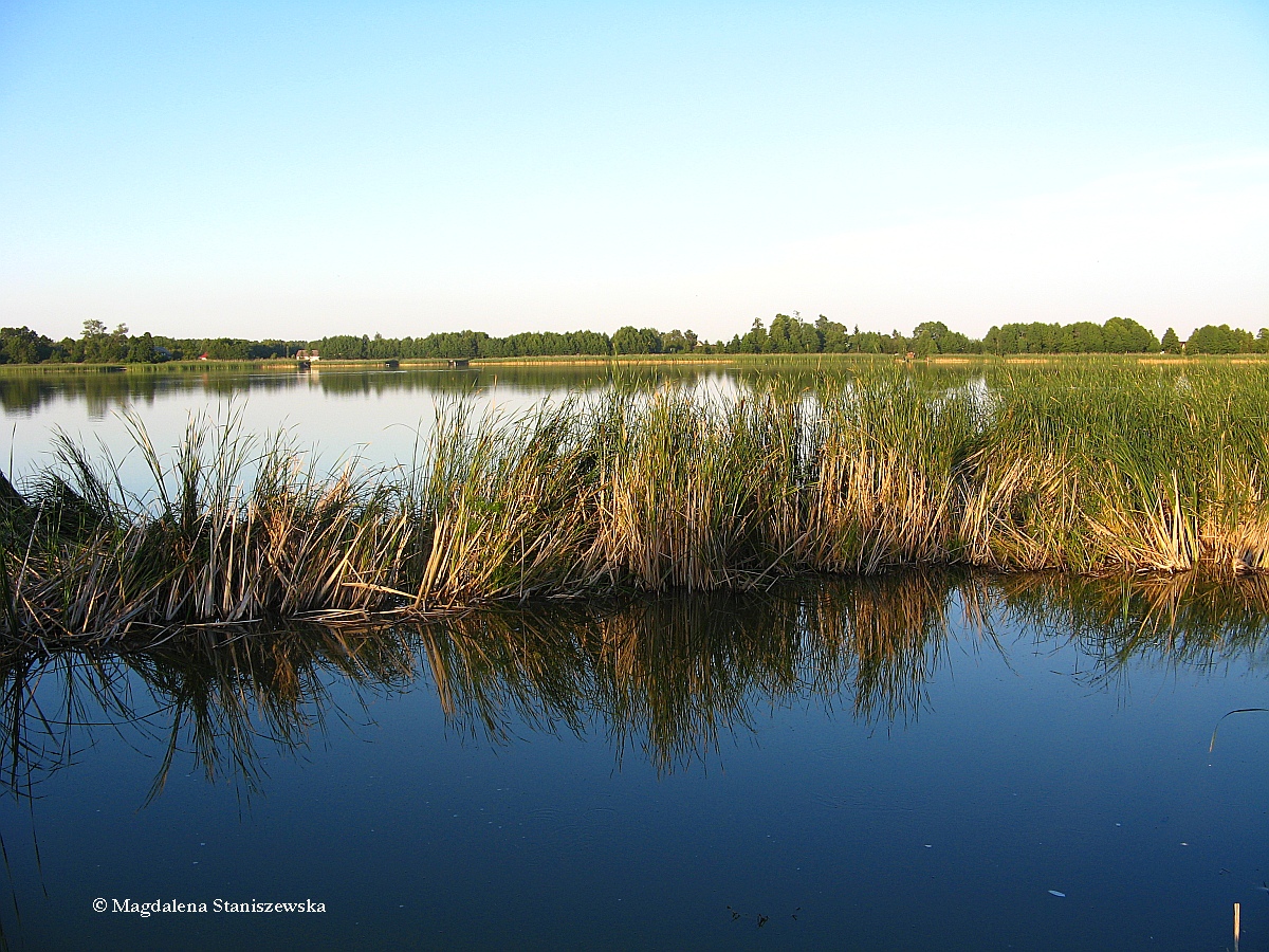 Jezioro Szczutowskie w Szczutowie, sierpie 2015 r.