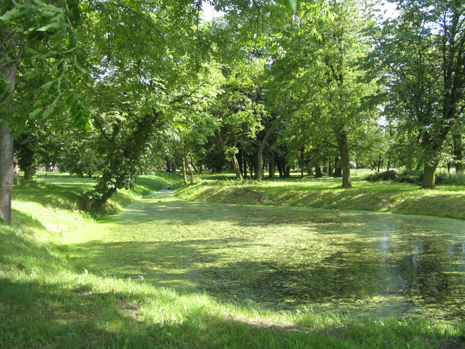 Park w pobliu dworku w Rociszewie.