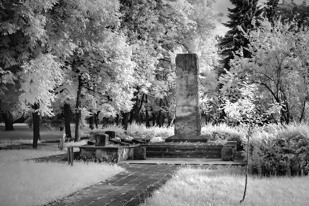 Pomnik w parku im. Paciorkiewicza,  tzw. Mapiaku. Pomnik powicony onierzom, partyzantom i wszystkim polegym za wolno Ojczyzny w walce z hitlerowcami w latach 1939-1945. Zdjcie wykonane 23.06.2010 r.