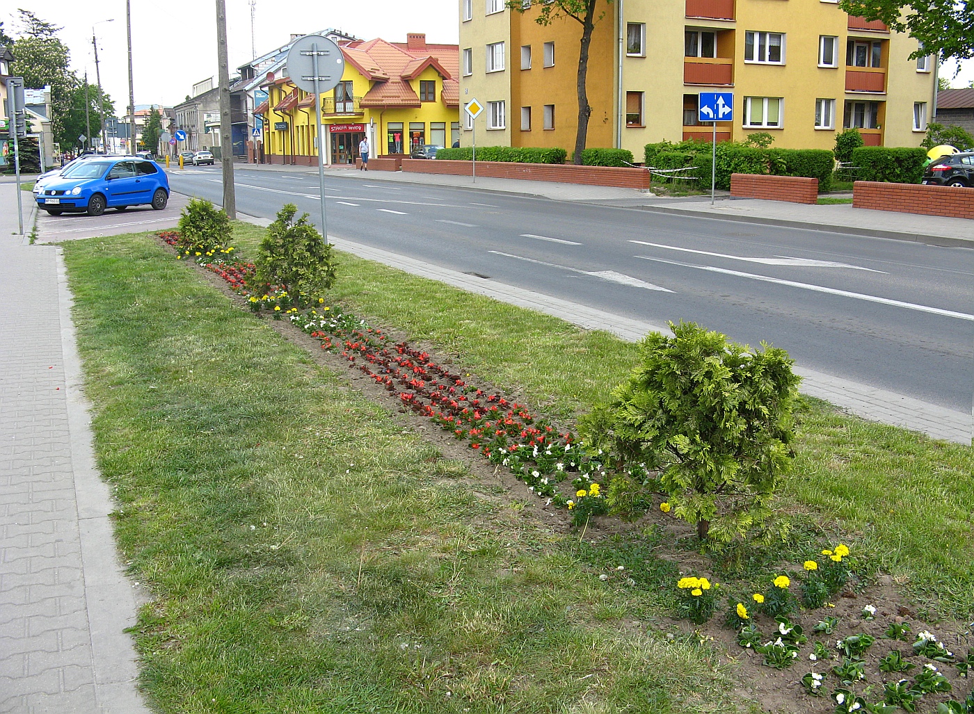 Obsadzona kwiatami jednorocznymi rabata przy ulicy Piastowskiej, 19.05.2015 r.