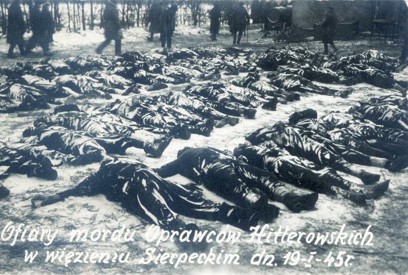 Ciaa winiw sierpeckiego wizienia zamordowanych 19 I 1945 r. przez Niemcw tu przed opuszczeniem miasta.<br> Wydane jako karta pocztowa.
