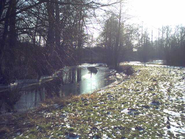 rzeka Skrwa zim