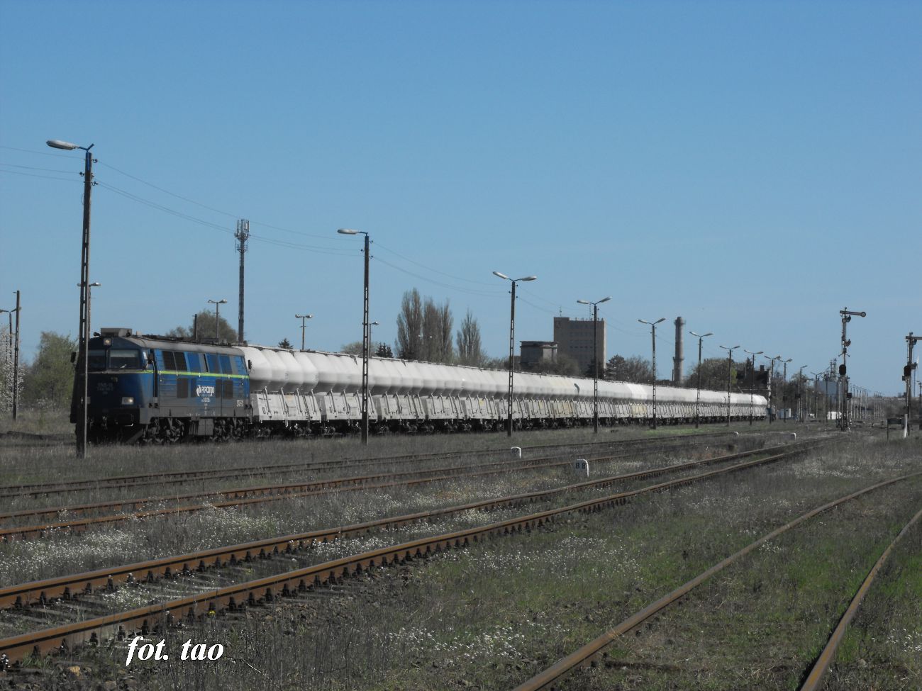 Stacja Sierpc. Skad towarowy z wagonami do przewozu cementu gotowy do odjazdu w kierunku Torunia, kwiecie 2018 r.