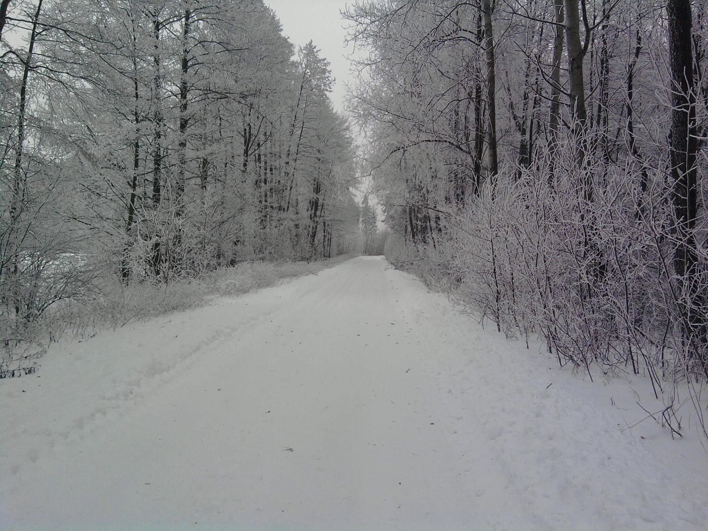 Zimowa droga prowadzca na stacj PKP Szczutowo od strony ulicy Kolejowej, 16.01.2010 r.