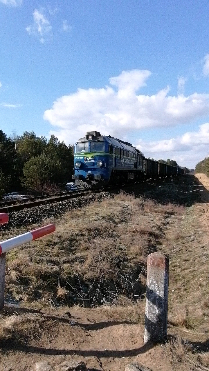 Skad towarowy z wglarkami oraz lokomotyw St-44 na czele, jadcy do Sierpca na linii 33 odcinku Szczutowo-Sierpc.  Zdjcie wykonane na zamknitym na stae przejedzie kolejowym w lesie okolice Rydzewa, 6.03.2021 r.