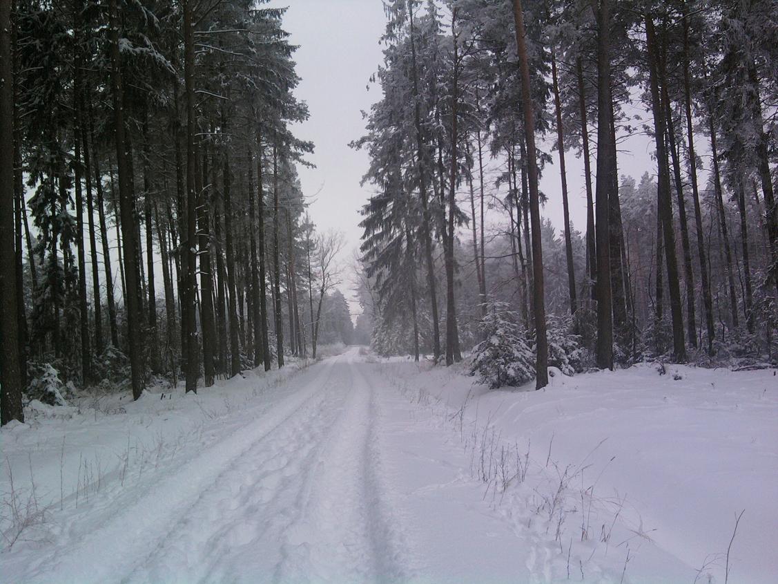 Lena, nowo utwardzona droga ze Szczutowa do miejscowoci Grabal w gminie Szczutowo, 16.01.2010 r.