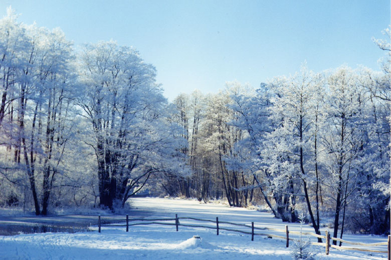Zima w Skansenie