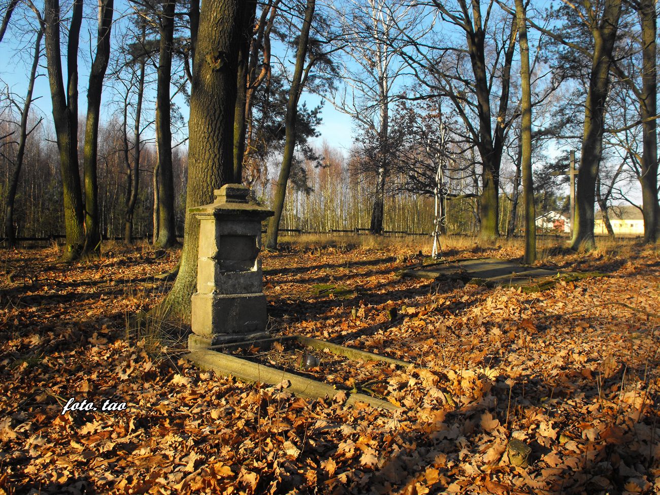 Cmentarz ewangelicki w Czartowni, 6.12.2015 r.