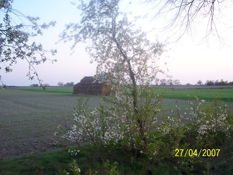 Wiosna w ochowie