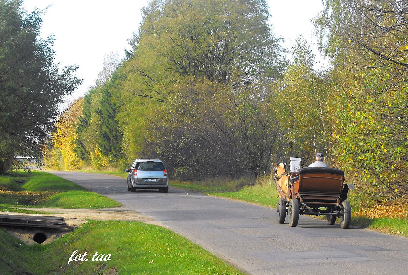 Niedzielna przejadka po ul. Staszica. Jak wida jedni lubi konie mechaniczne, a inni tradycyjne, 19.10.2014 r.