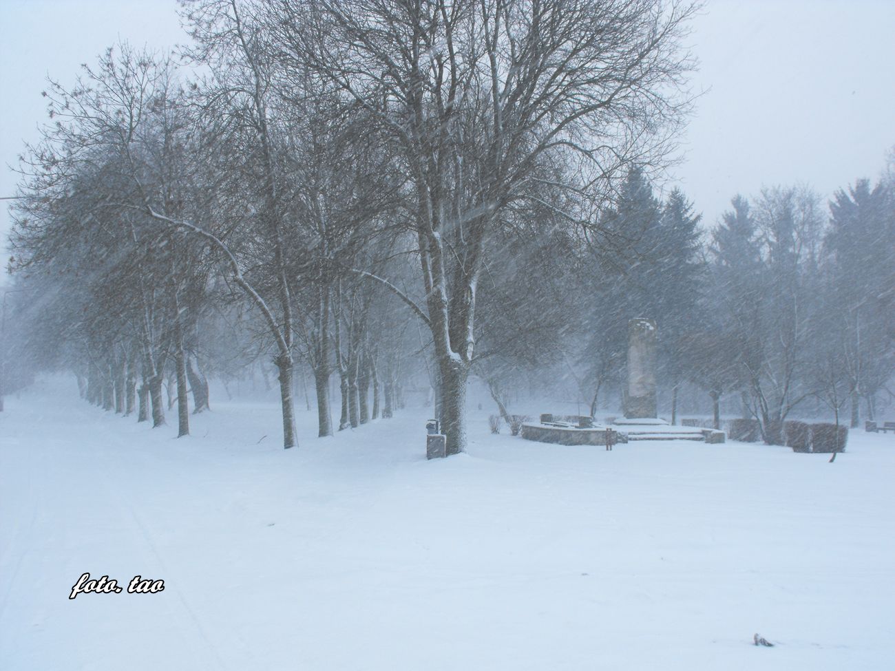 Niedzielny atak zimy. Park im. Paciorkiewicza w Sierpcu, 8.02.2015 r.