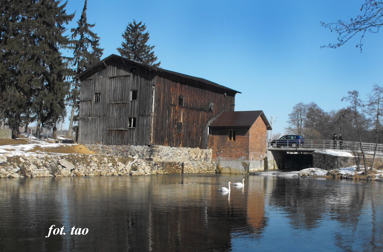 Myn w Choczniu, 17.03.2013 r.