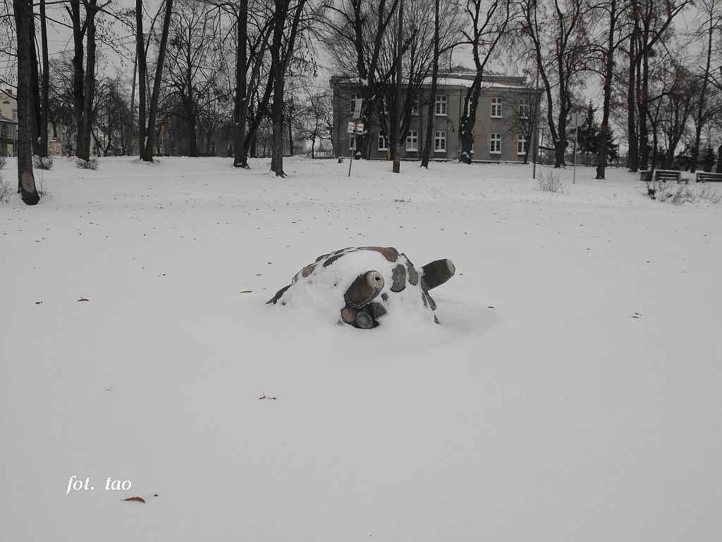 Jezirka - fontanna po ataku zimy, 10.01.2010 r.