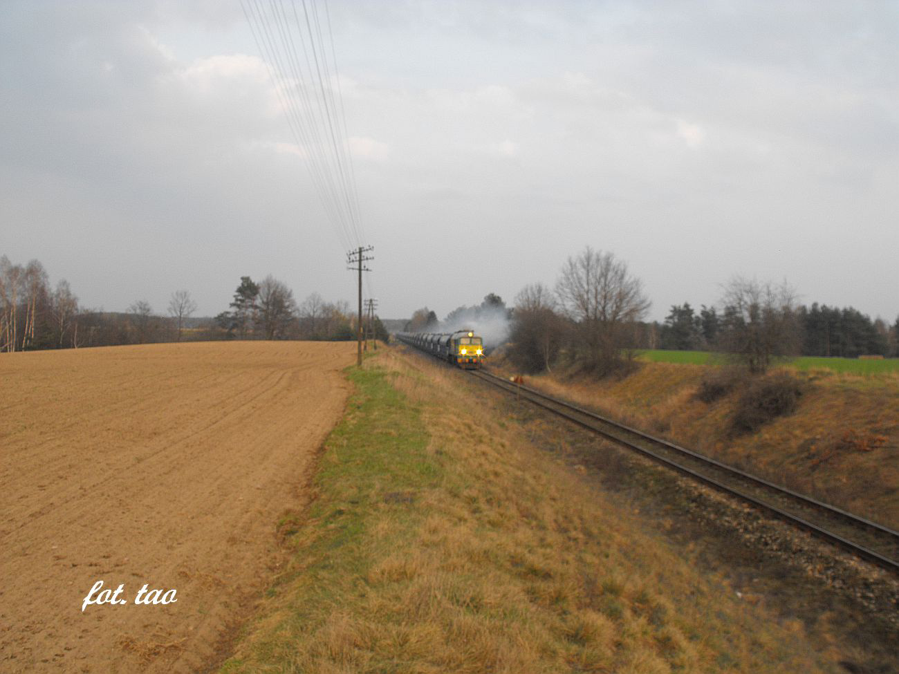 Suocin. Na szlaku do Torunia na wysokoci Suocina tor biegnie po wysokich nasypach lub jak na foto w gbokich, wykopanych jarach. Ciekawostk jest, e od Mieszczka, a do Podwierzbia tor pnie si pod gr i jak wida maszynista nie auje mocy, 3.04.2014 r.