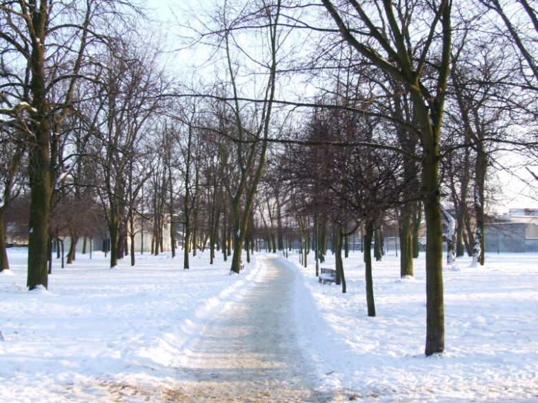 Park