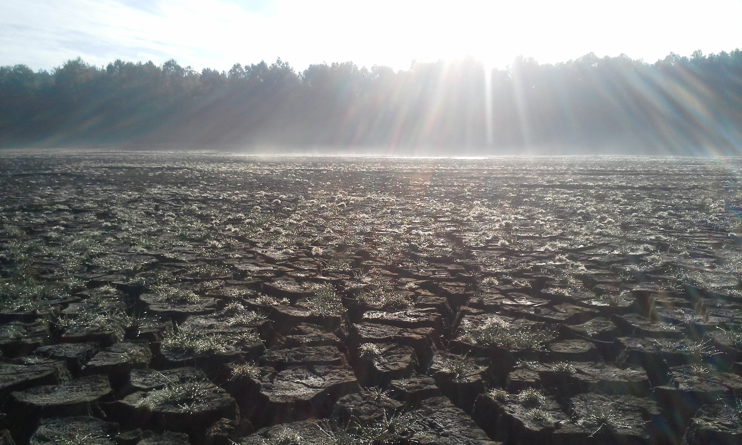 Tegoroczne susze nie oszczdziy rwnie zbiornika wody w Babcu, jeszcze miesic temu ttnio tu ycie..., padziernik 2015 r.