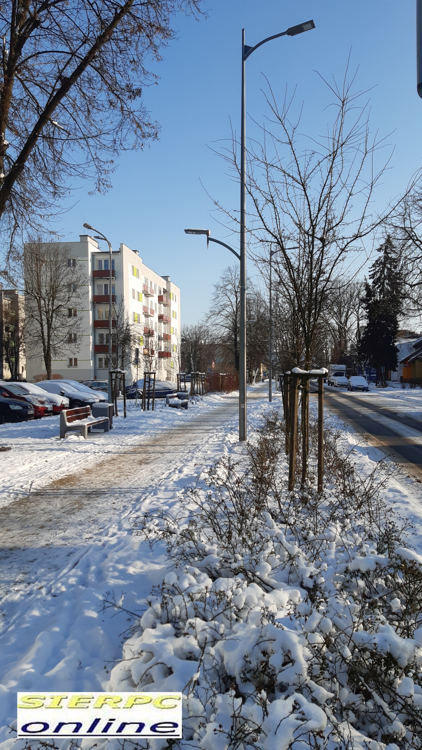 Ulica Jana Pawa II w mrone styczniowe przedpoudnie, 17.01.2021 r.