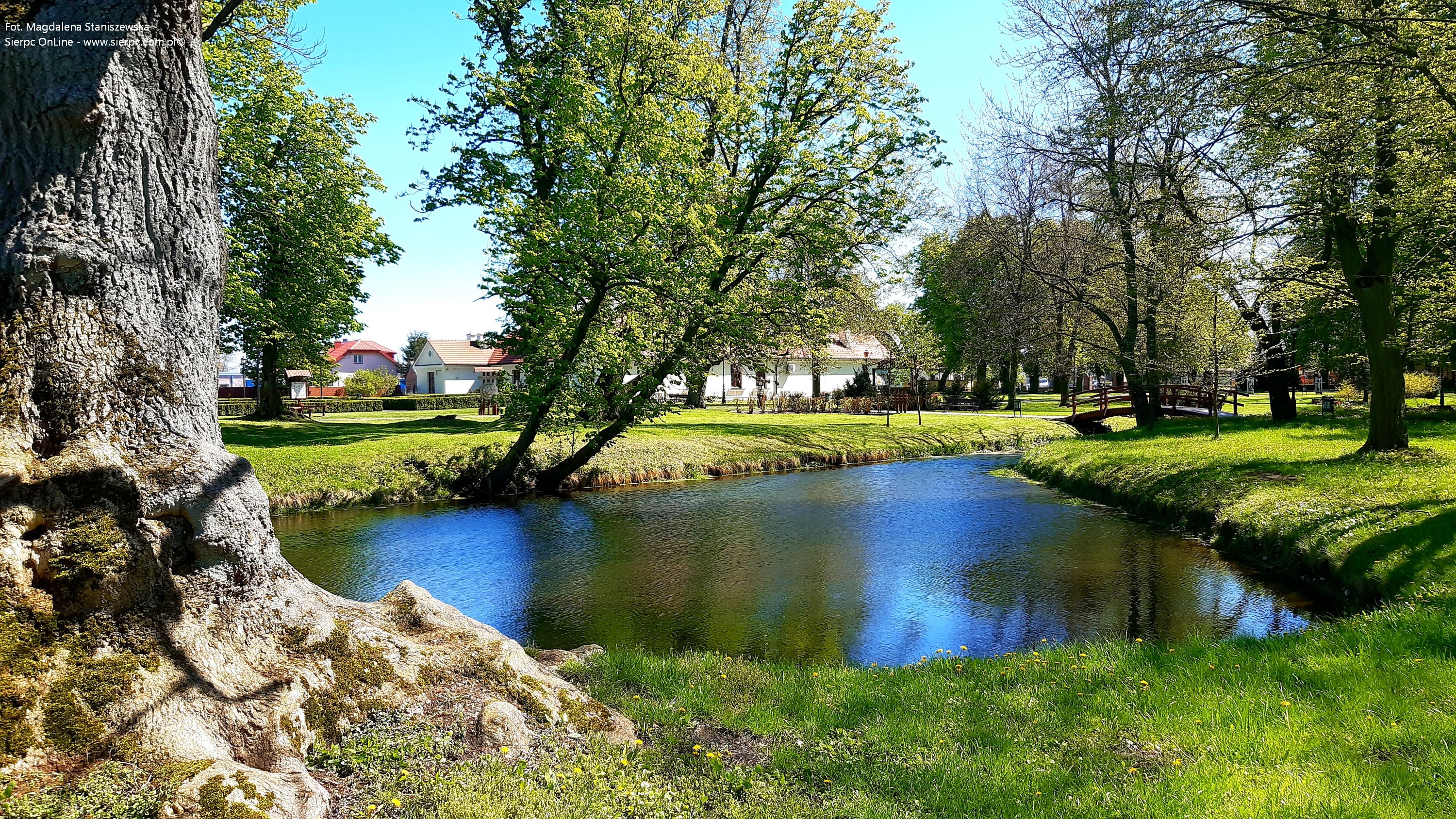 Przydworski park ze stawem w Rociszewie, 30.04.2023 r.