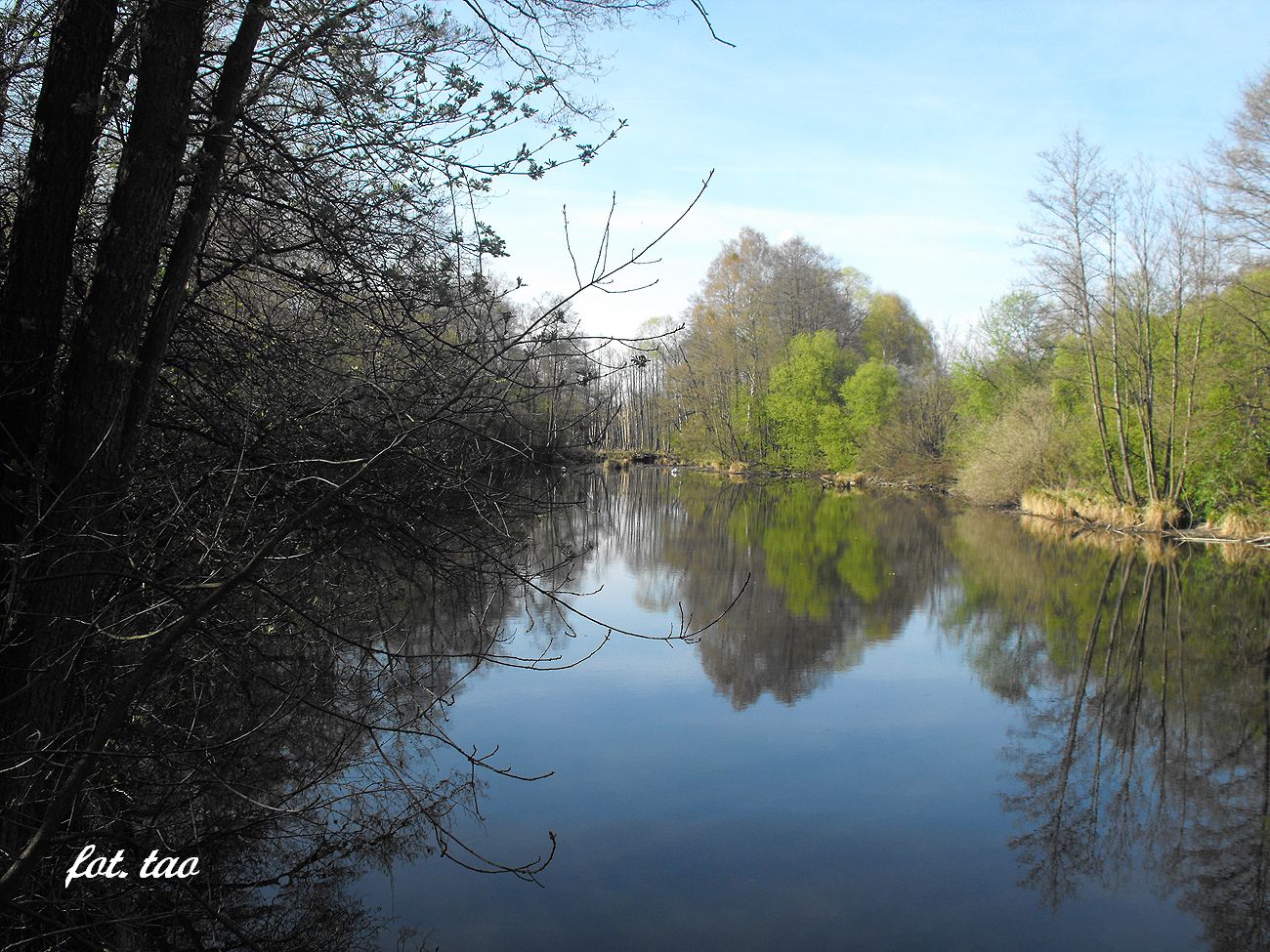 Rozlewisko w Rachocinie, widok od strony myna, maj 2014 r.