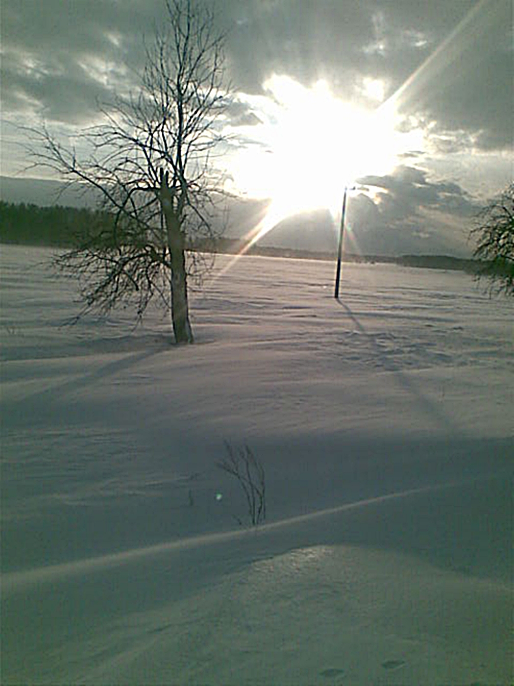 Oczekiwany promyk słońca po śnieżycy. Rogieniczki, 28.01.2010 r., godzina 15:16.