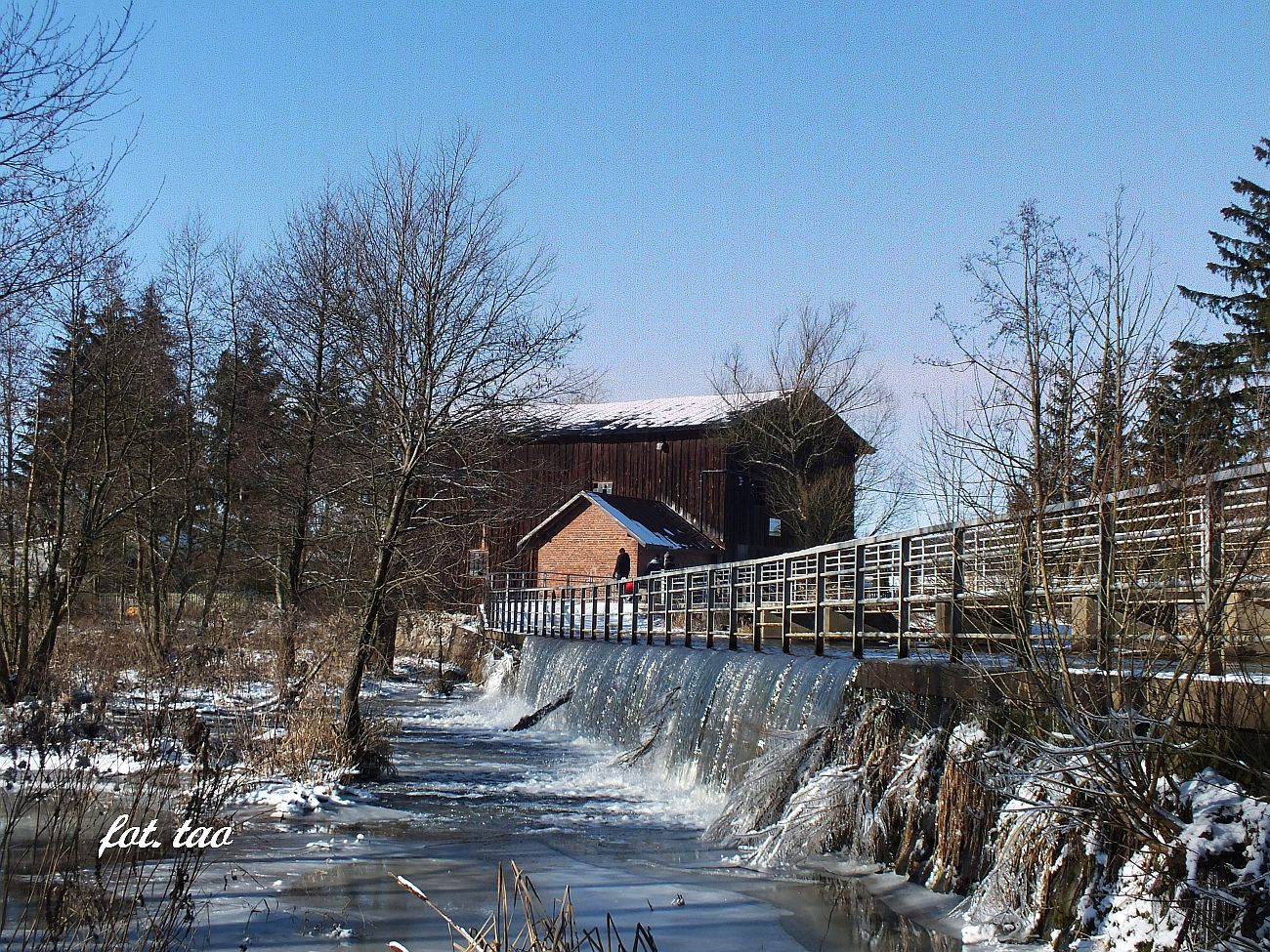 Myn w Choczniu, 31.01.2021 r.