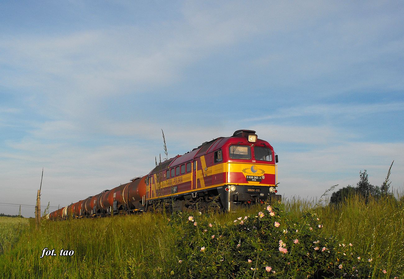 Lokomotywa produkcji ZSRR tzw. Gagarin w barwach RAIL Polska na szlaku do Torunia. Zdjcie wykonano w okolicach Pawowa k/Sierpca, czerwiec 2016 r.