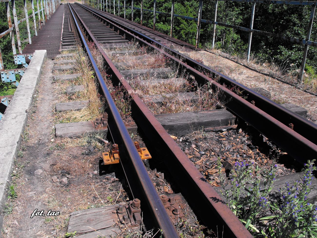 Widok na most kolejowy na Skrwie i tor w kierunku Szczutowa. Trudno nazwa czyn jakiego dokonaa osoba, ktra wypalajc podkad pod szynami osabia i tak bardzo sabe torowisko, tu przed samym wjazdem na most. Torem tym do Szczutowa przewoony jest wgiel, czyli cikie skady wagonw... dywersja, konkurencja czy zwyka gupota?, 2.07.2015 r.