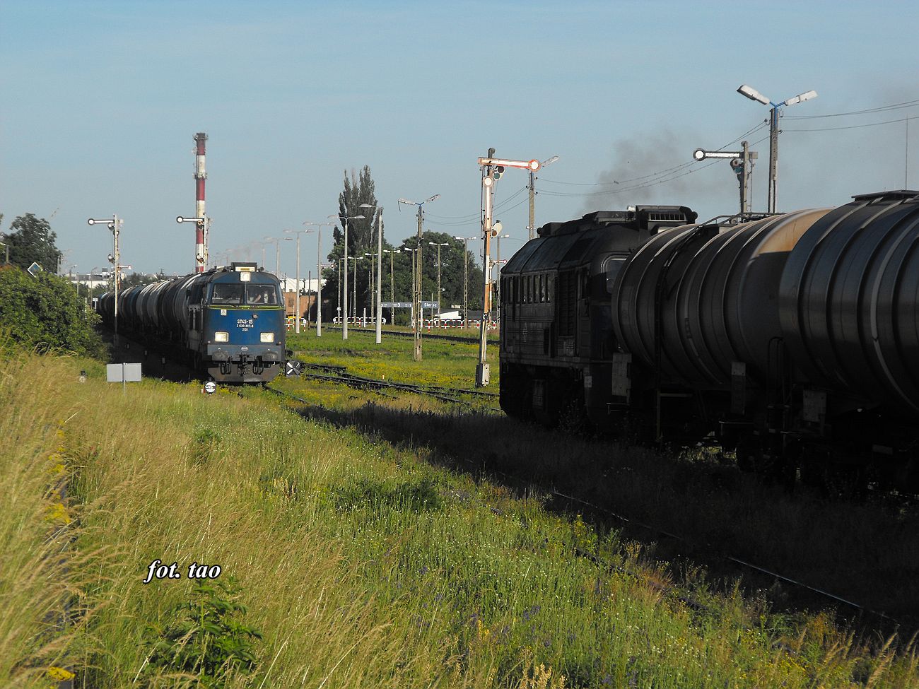 Stacja Sierpc. Mijanka skadw towarowych, zdjcie od strony ramp wyadowczych, czerwiec 2016 r.