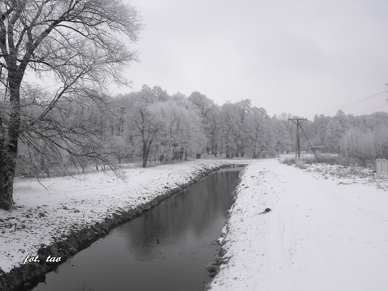 Rzeka Sierpienica, widok z mostu na ul. Wojska Polskiego, 18.01.2016 r.