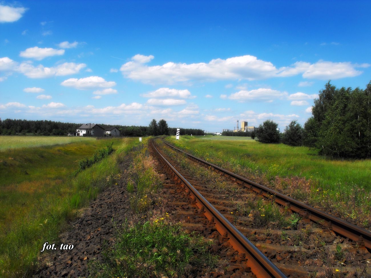 Na zdjciu jedno z najciekawszych miejsc w okolicy naszej stacji do robienia fotografii kolejowej. Jadc z Pocka pocig musi pokona bardzo efektowne dla fotografw zakrty. Na zdjciu okolica ul.Se­mpoowskiej  czerwiec 2016r.