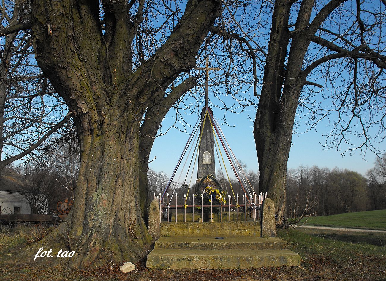 Rydzewo. Figurka na rozdrou otoczona potnymi kasztanowcami, kwiecie 2014 r.