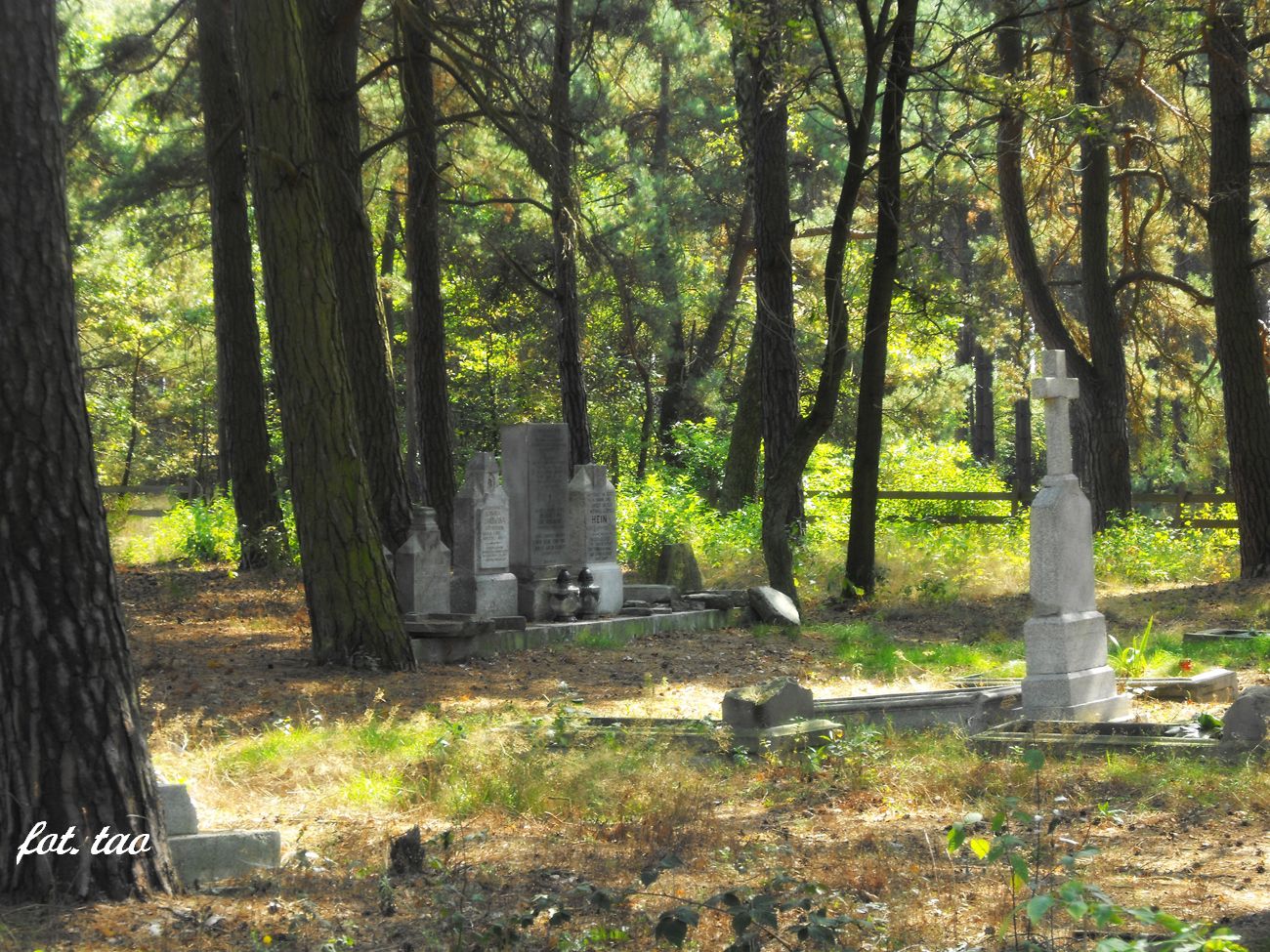 Fragment cmentarza ewangelickiego w Białasach, wrzesień 2014 r.