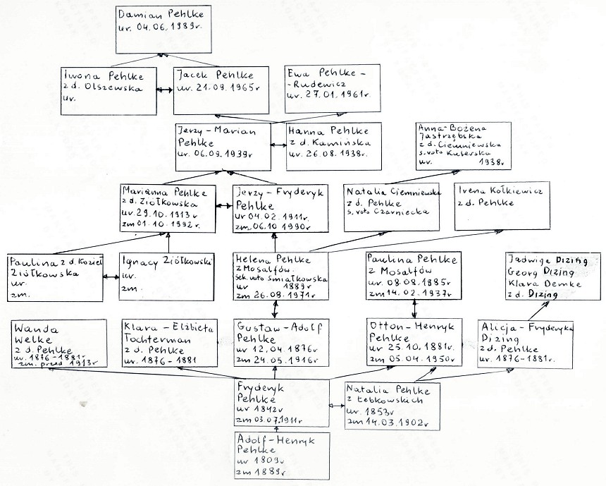 Drzewo genealogiczne rodziny Pehlke, do ostatniego pokolenia.
