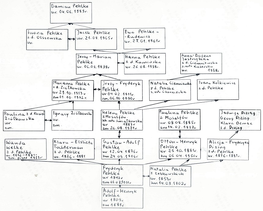 Drzewo genealogiczne rodziny Pehlke, do ostatniego pokolenia.