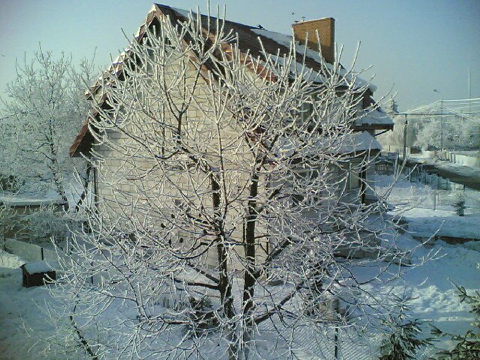 Widok z balkonu na oszronione drzewo