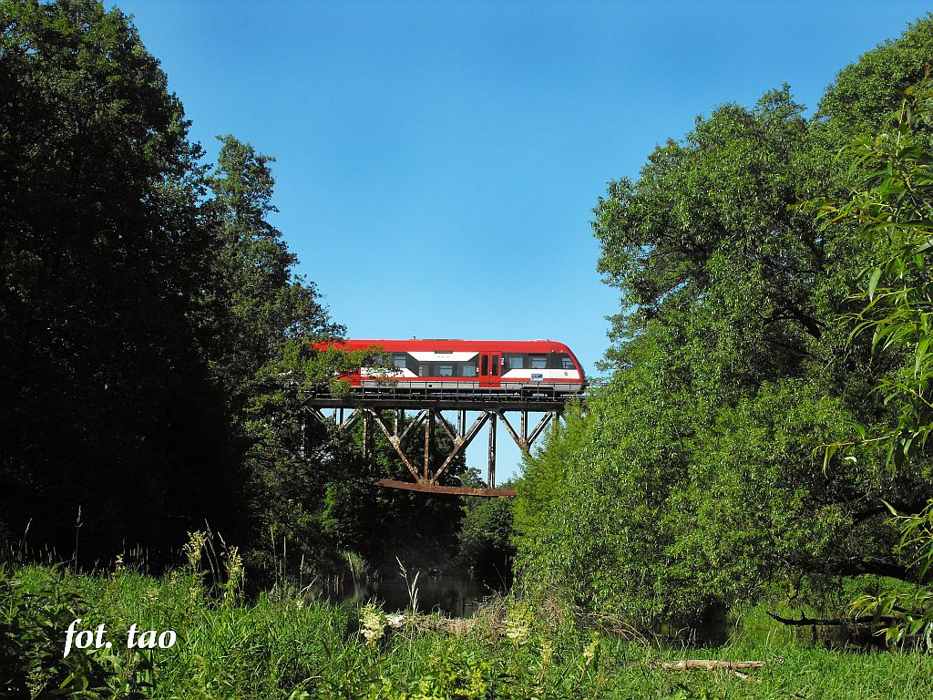 Most kolejowy na Skrwie w Mieszczku. Na moście szynobus do Torunia, 27.06.2010 r.