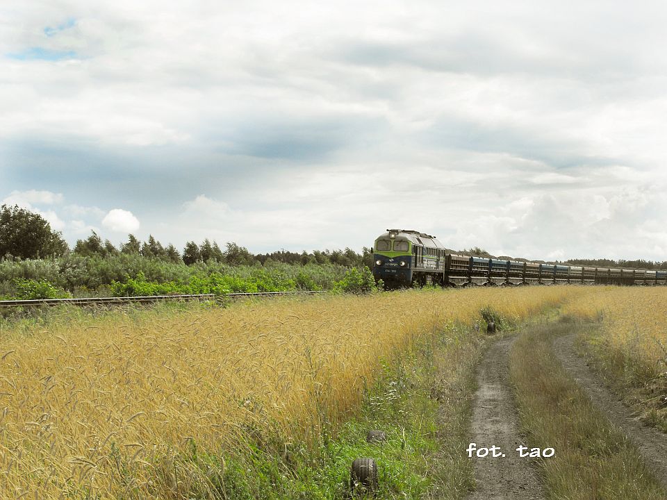 ST-44 na penej szybkoci zblia si do uku przy ul. Sempoowskiej. Na haku skad kruszywa, 26.07.2009 r.