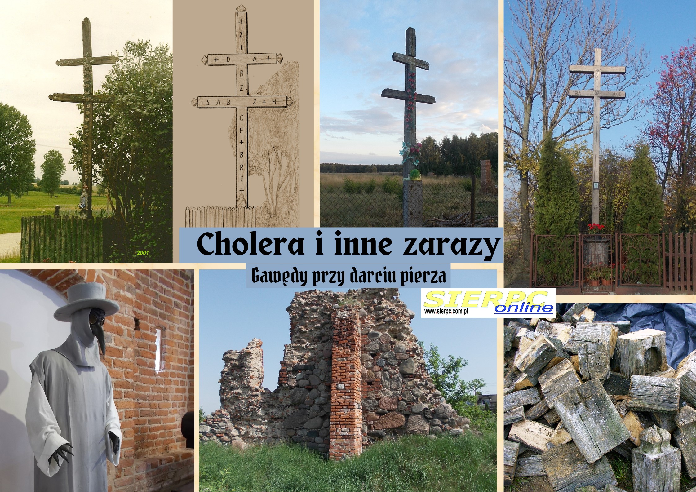 Gawdy przy darciu pierza: Cholera i inne zarazy