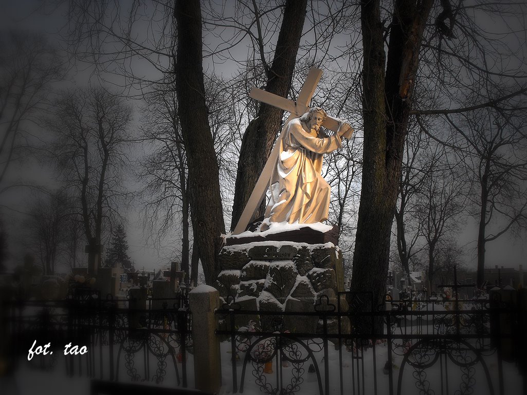 Foto z&nbsp;grudniowego spaceru po cmentarzu parafialnym w&nbsp;Sierpcu, 5.12.2010 &nbsp;r.